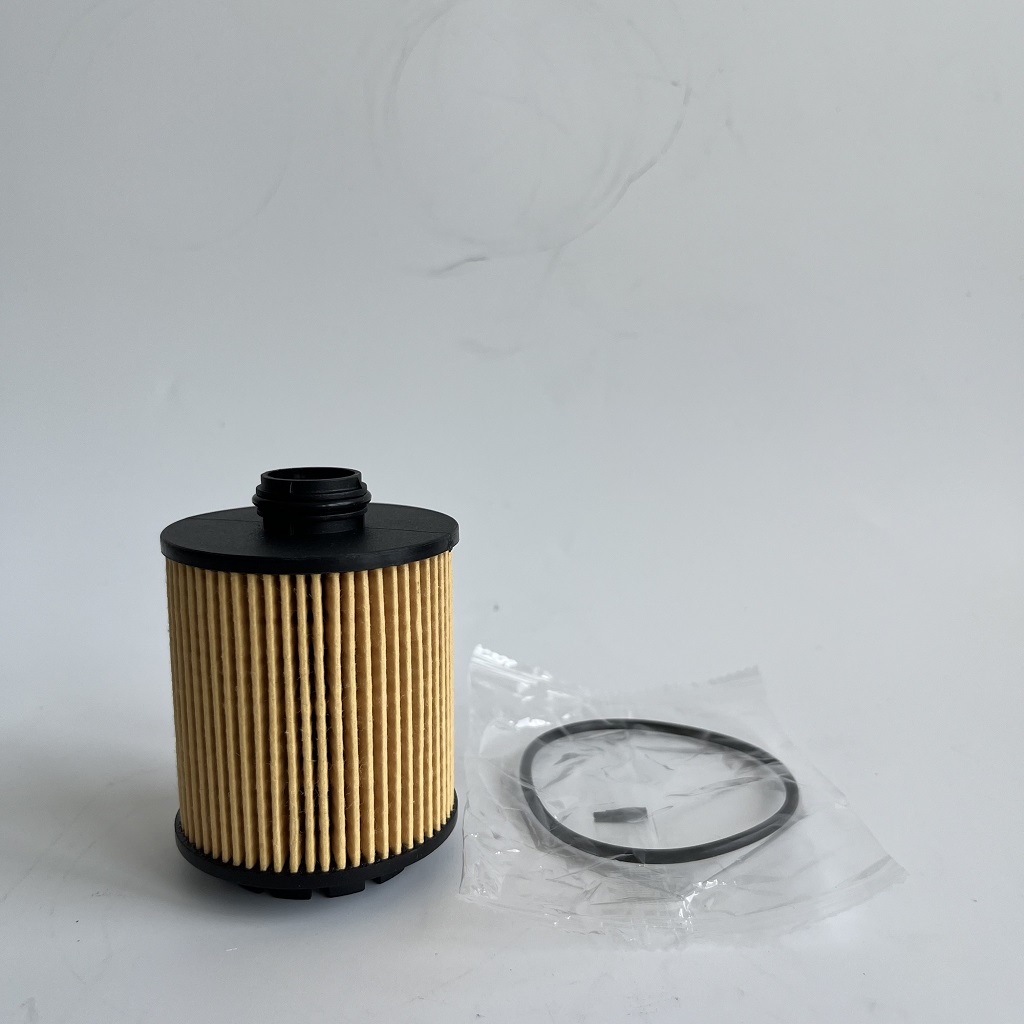 HU7043Z 1612565980 Filter za ulje za PetGeot